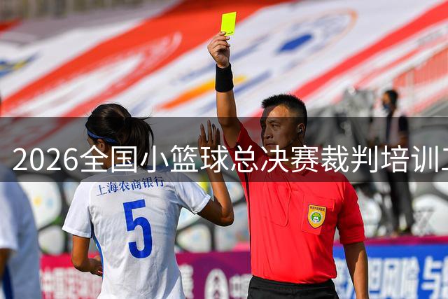 2026全国小篮球总决赛裁判培训工作在京启动